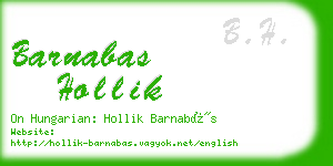 barnabas hollik business card